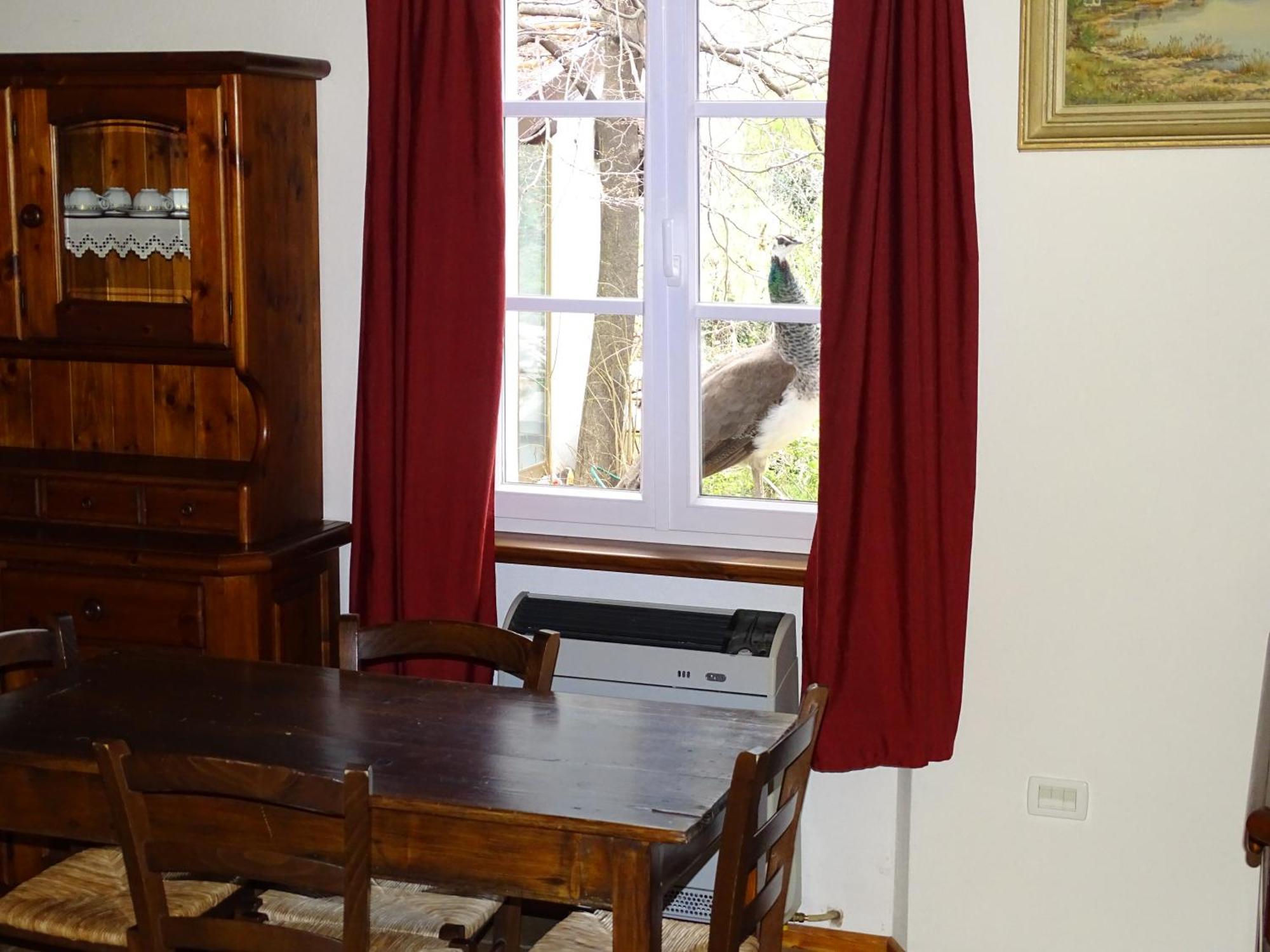 Casa Delle Risorgive Hotel Venzone Eksteriør billede